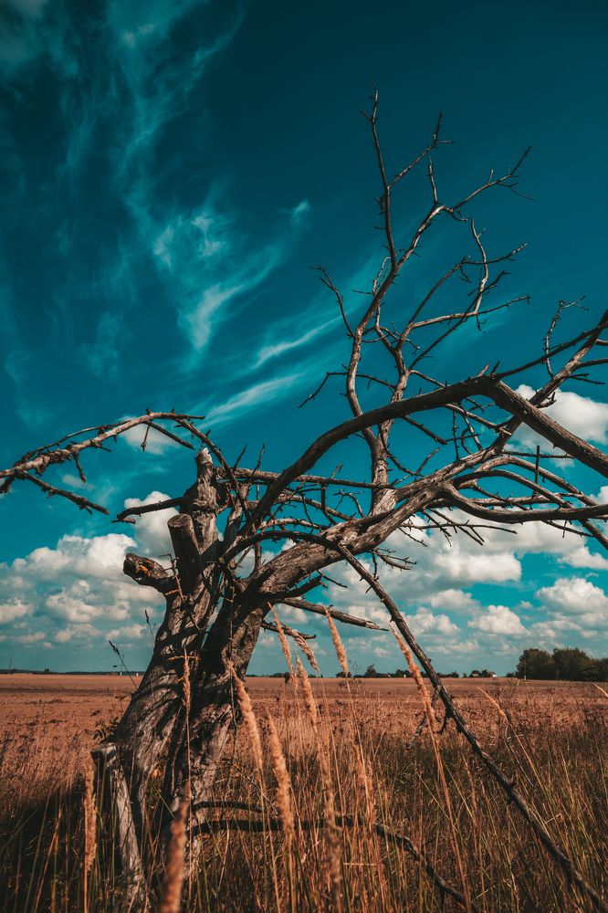 Фотография автора Татьяна Грунтович