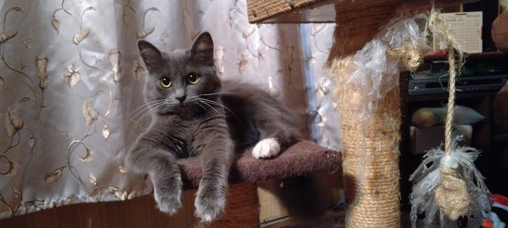 Photograph by Татьяна Стаскевич