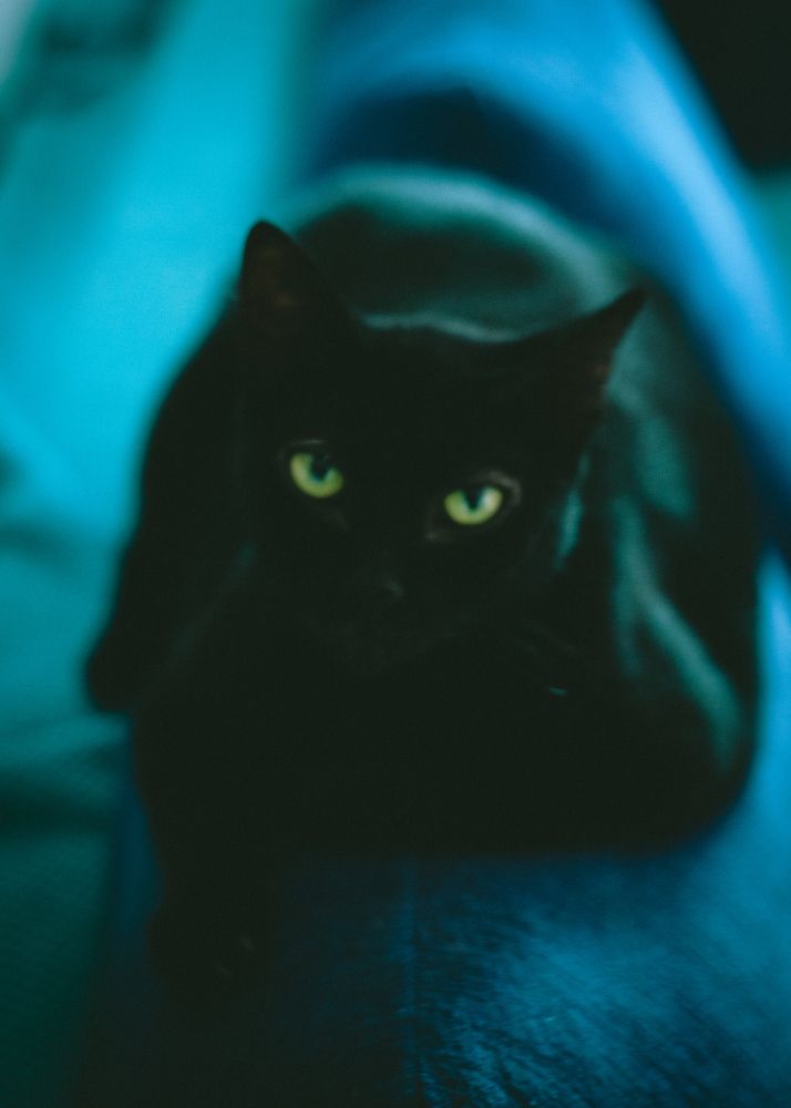 Фотография автора Giovani Martins Candido