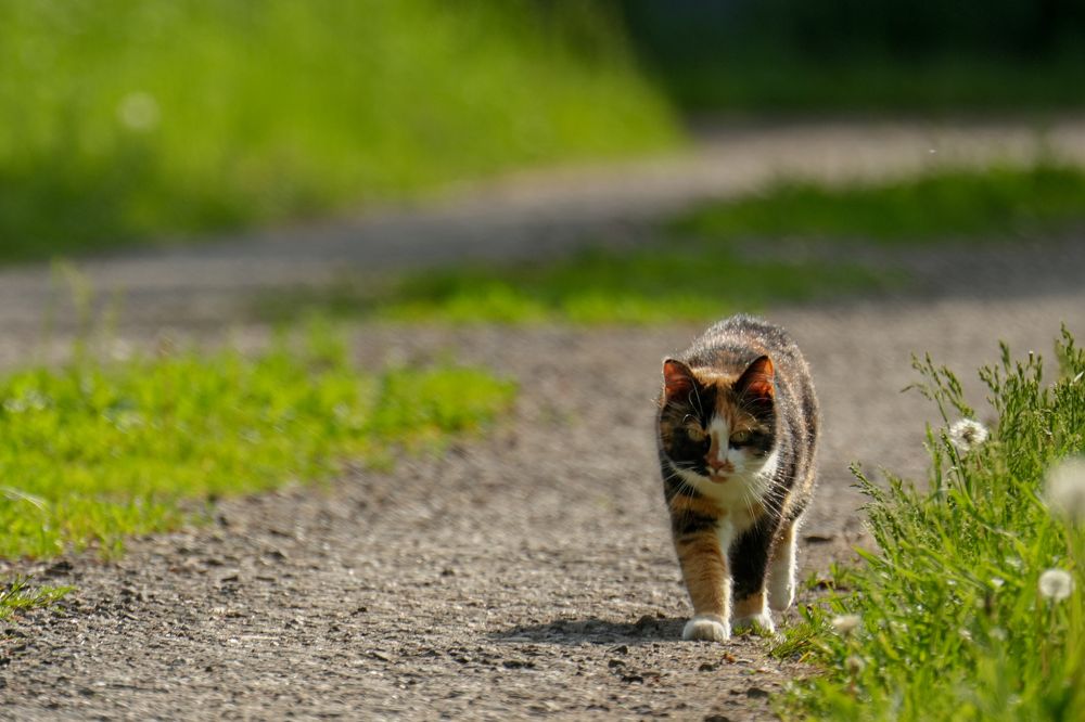 Photograph by Pavel Morozov