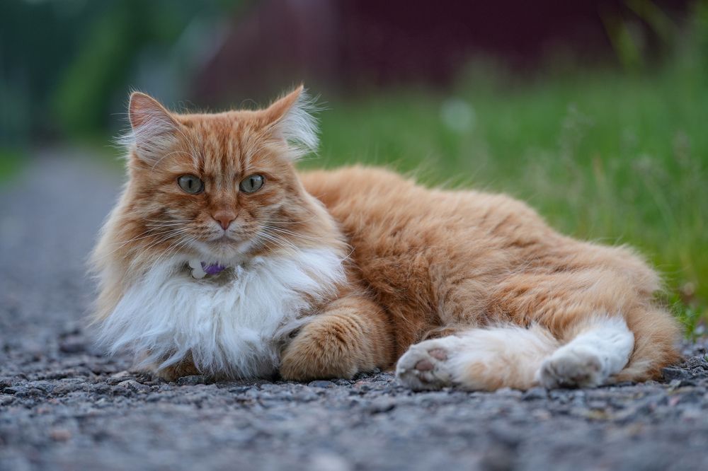 Photograph by Pavel Morozov