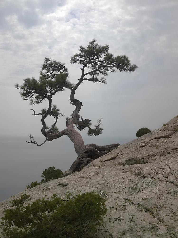 Photograph by Татьяна Стаскевич