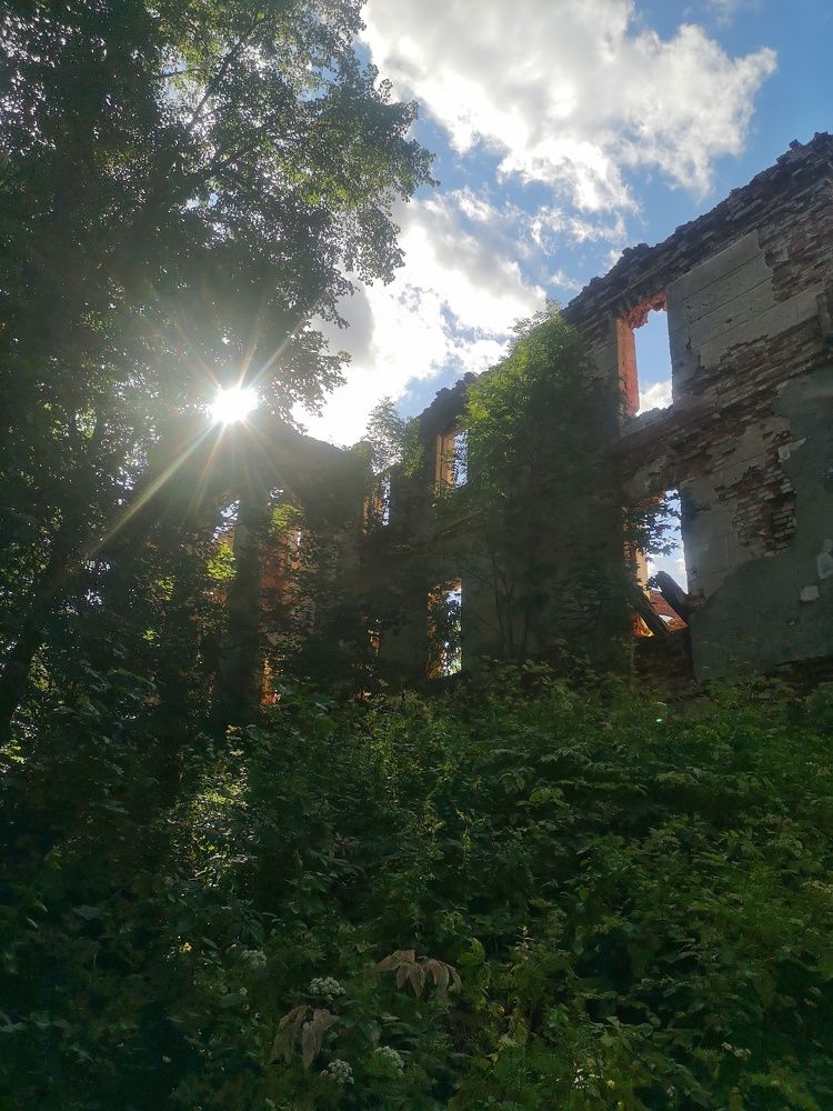 Photograph by Екатерина Борисовна Кузьмина