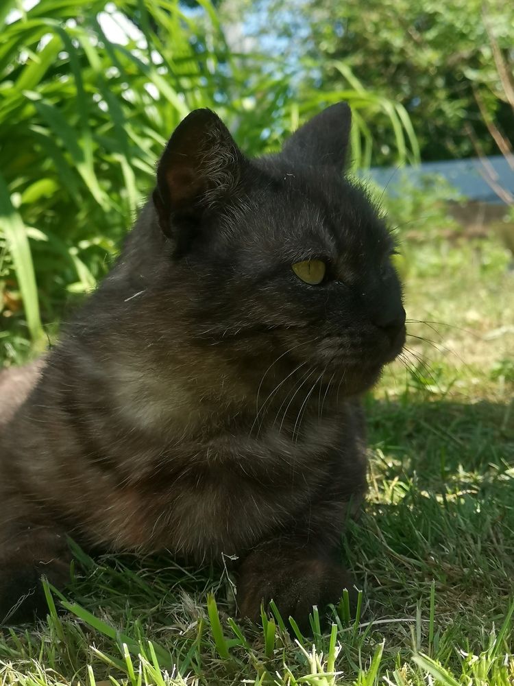 Photograph by Екатерина Борисовна Кузьмина