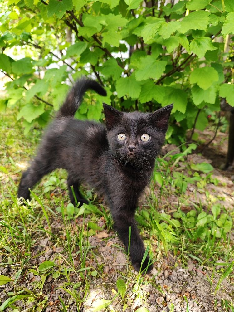 Photograph by Екатерина Борисовна Кузьмина