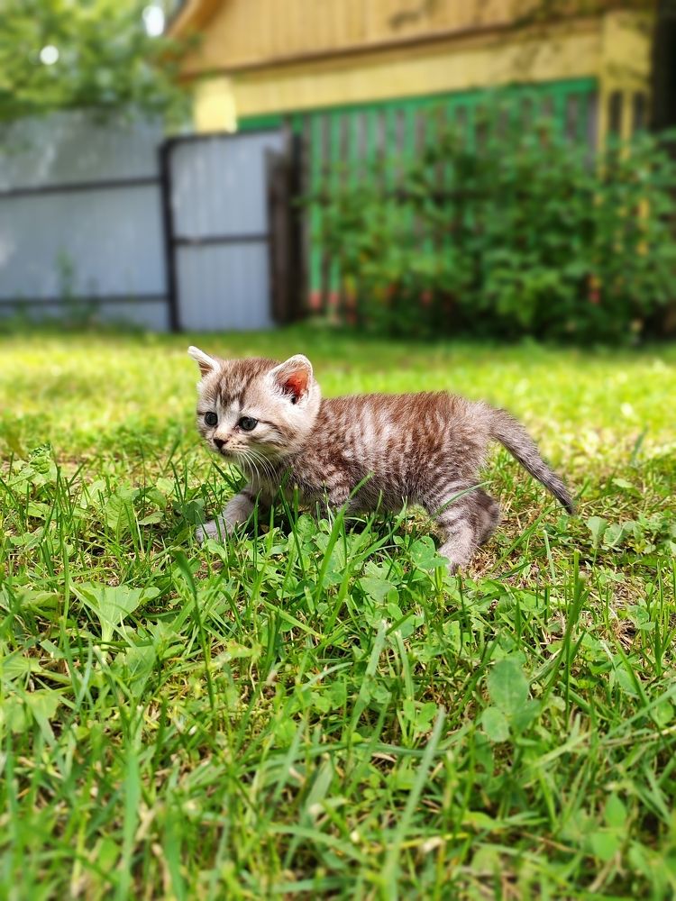 Photograph by Екатерина Борисовна Кузьмина