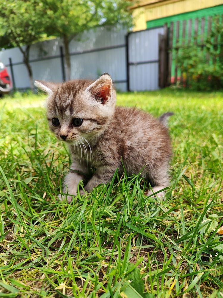 Photograph by Екатерина Борисовна Кузьмина