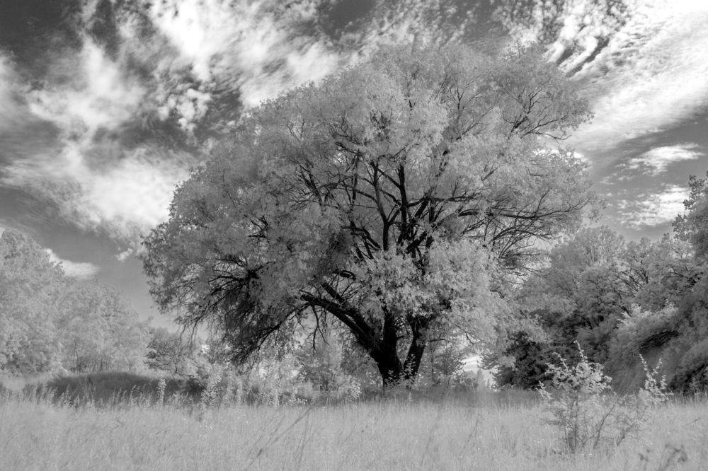 Photograph by Даниил Марущенко