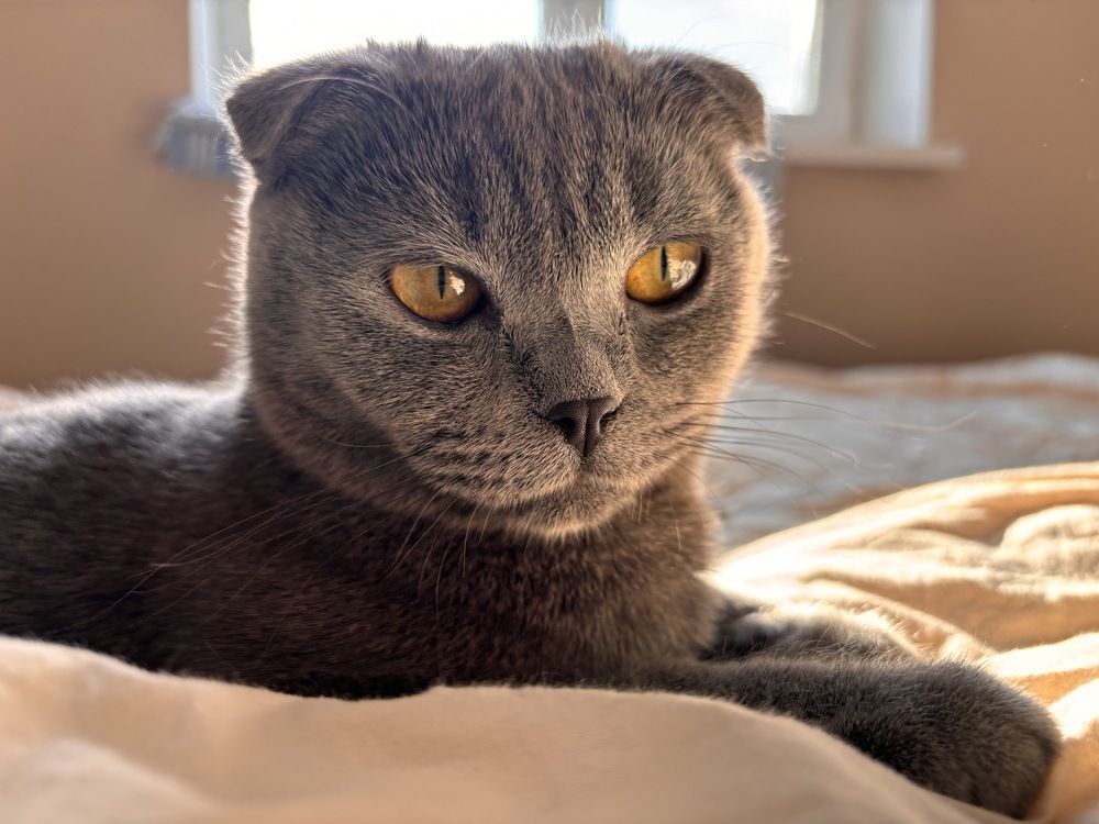 Photograph by Алина Соколова