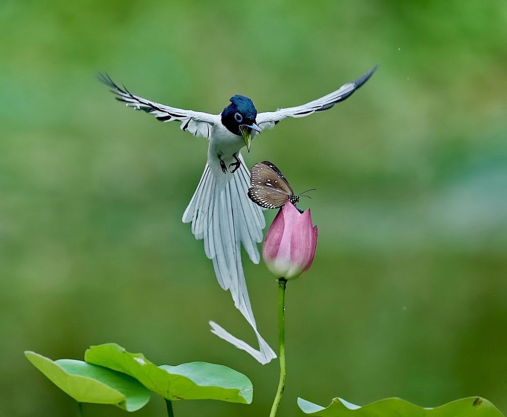 Photograph by Kan Chung Wong