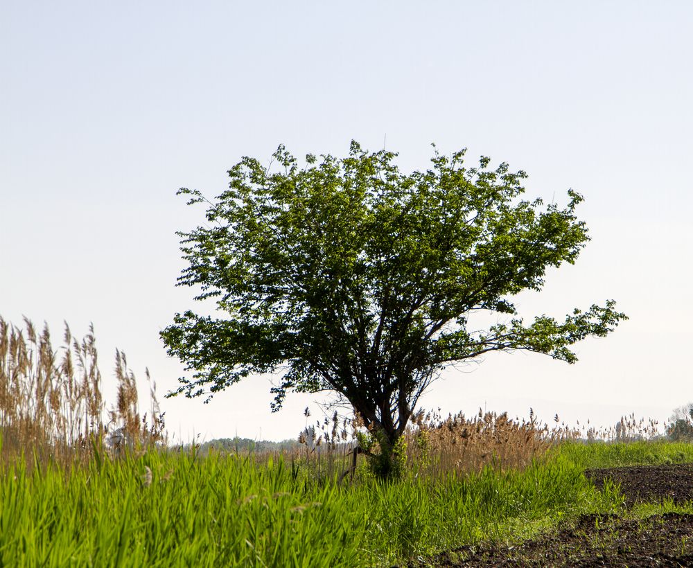 Photograph by Виктор Яхонтов