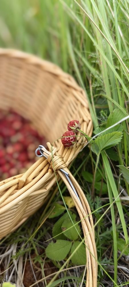 Photograph by Анастасия Позинич