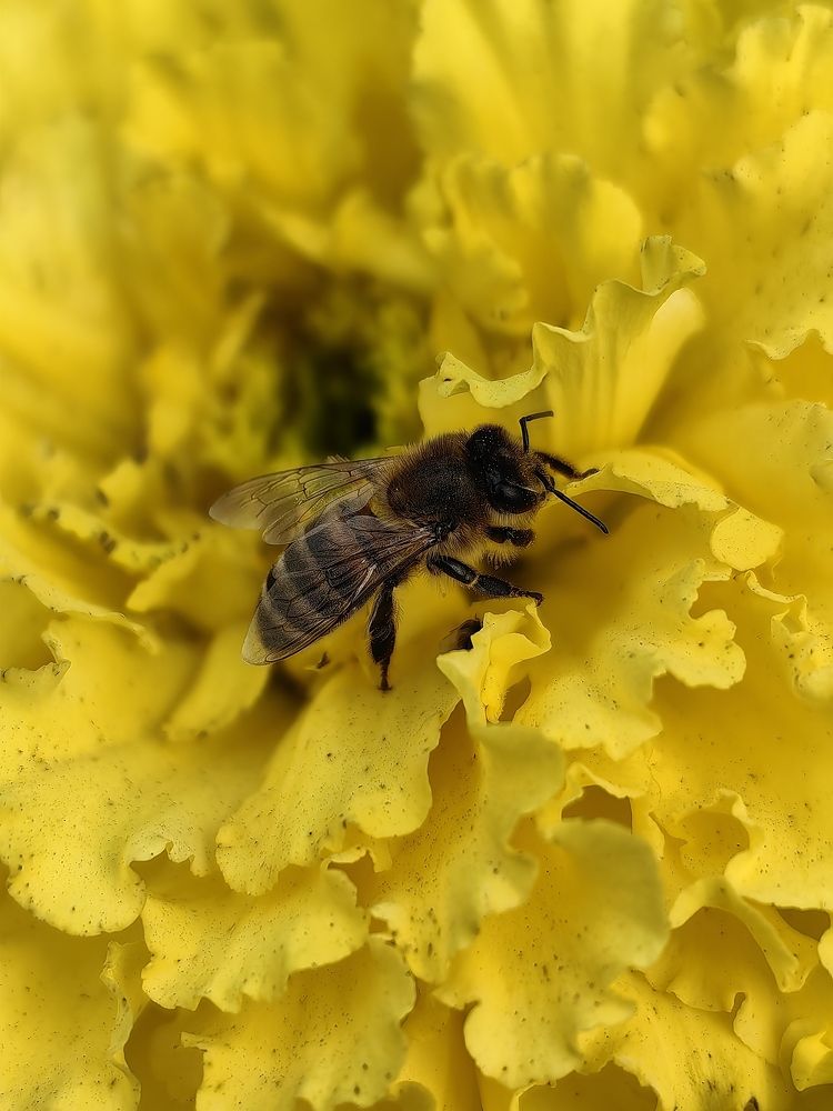 Photograph by Анастасия Позинич