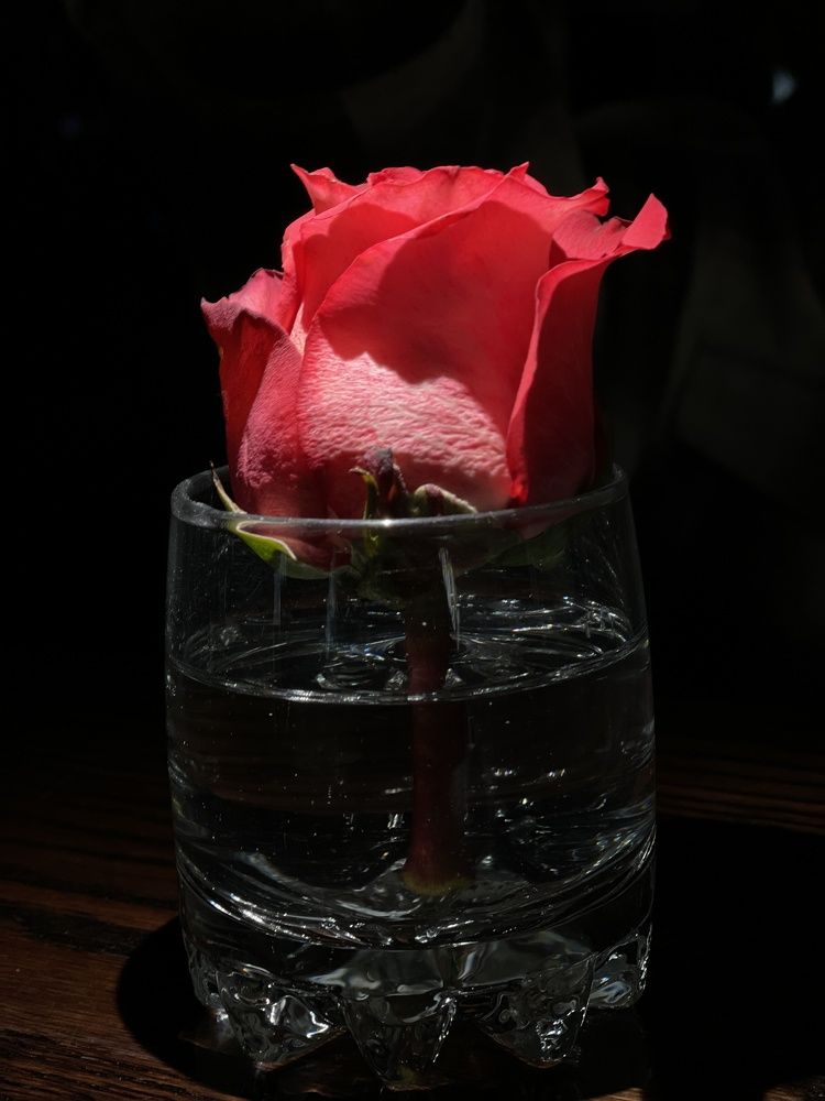 Photograph by Roman Marius