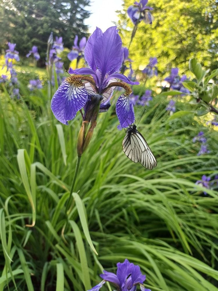 Photograph by Елена Каширина