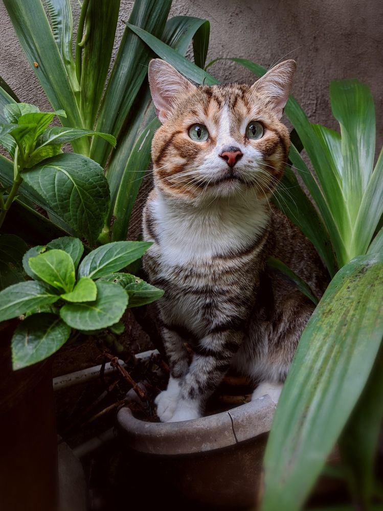 Photograph by francisco caicedo