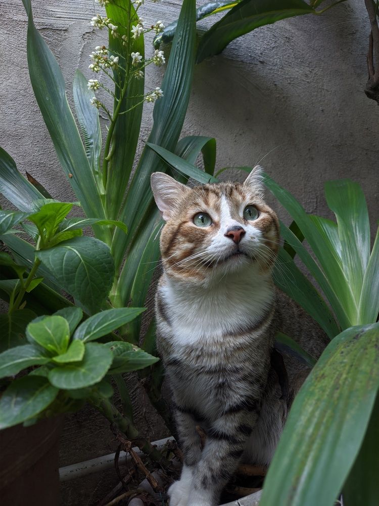 Photograph by francisco caicedo