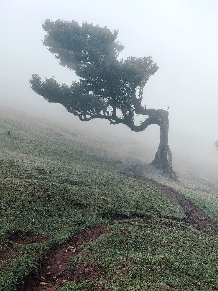 Фотография автора Konstantin Shendel