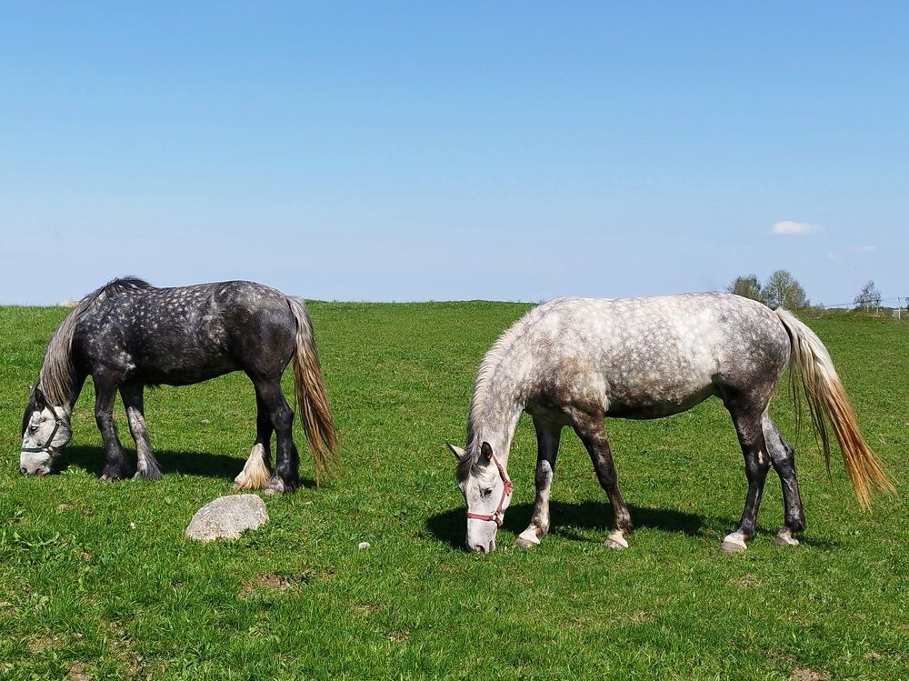 Photograph by Оксана Артимович