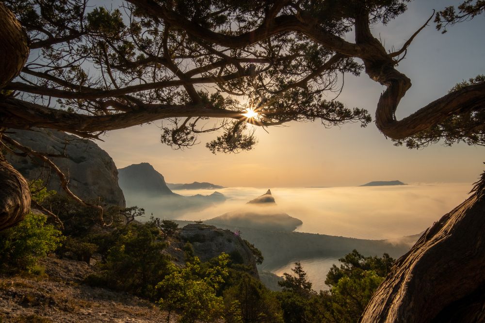 Photograph by Александр Разумов