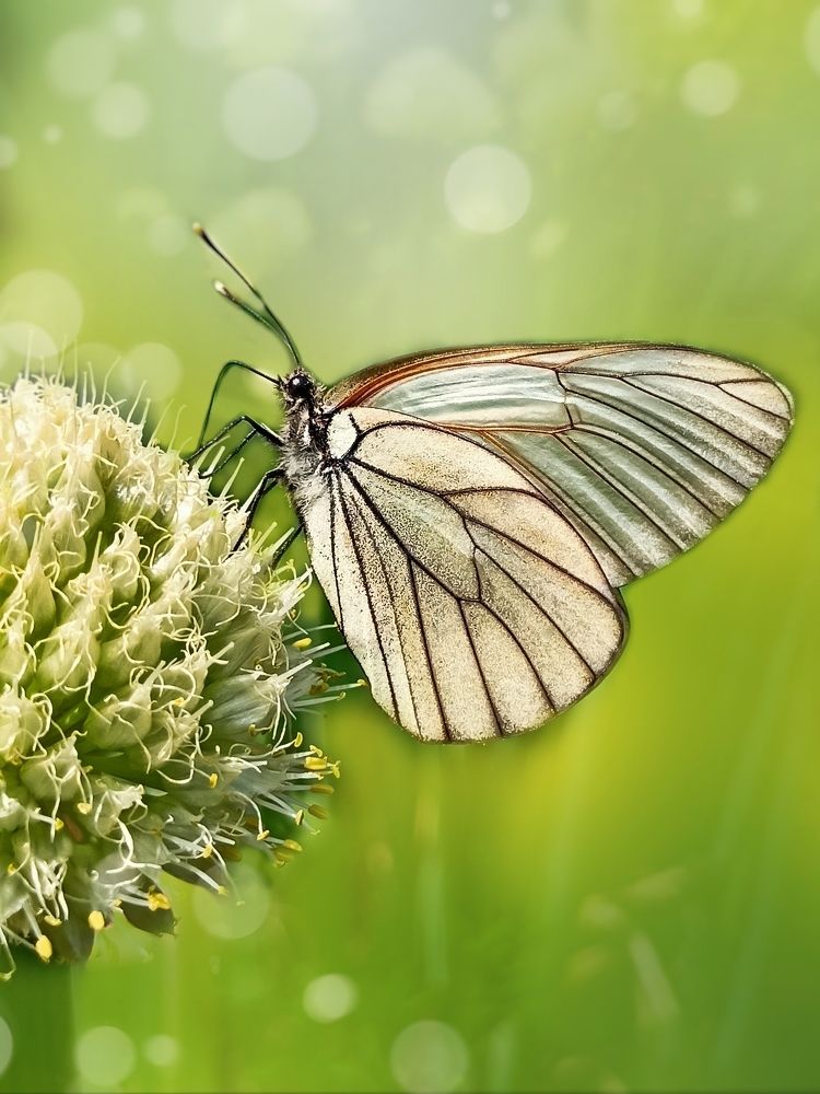 Фотография автора Татьяна Шахова