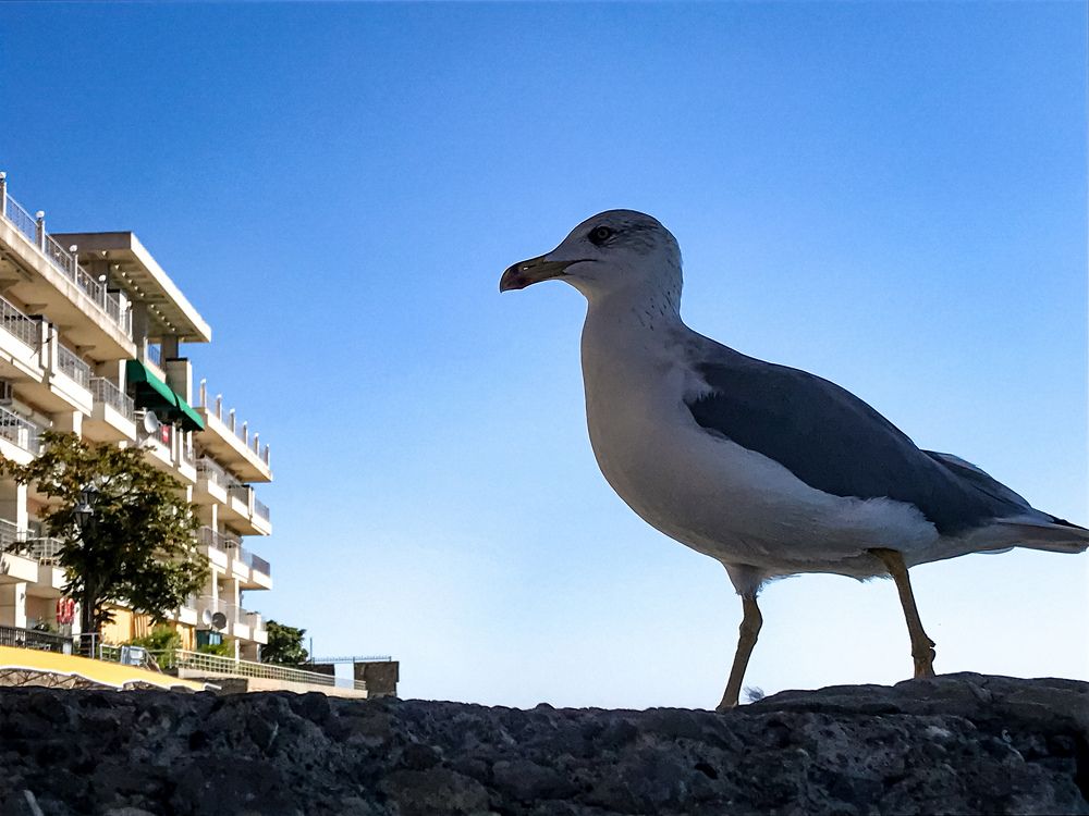 Photograph by Татьяна Зенина