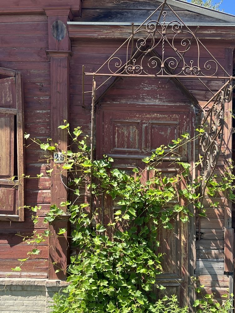 Photograph by Ирина Артюх