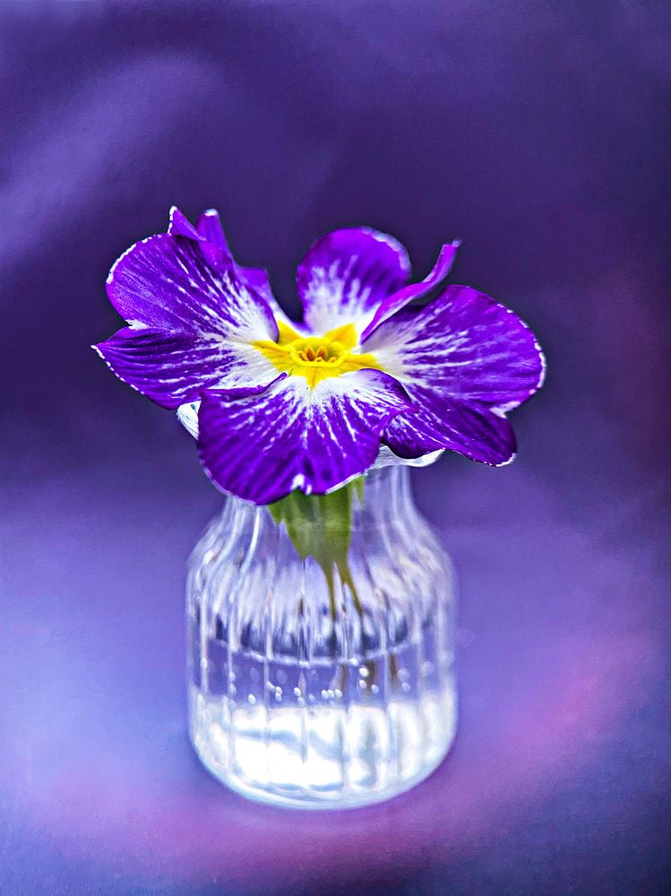 Photograph by Александра Гонтарь