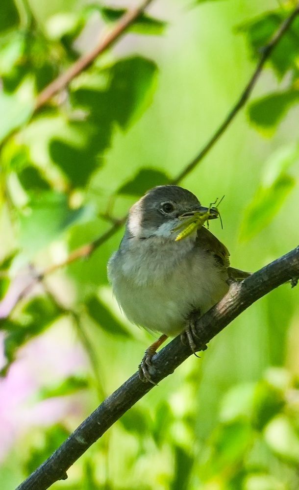 Photograph by Михаил Трусов