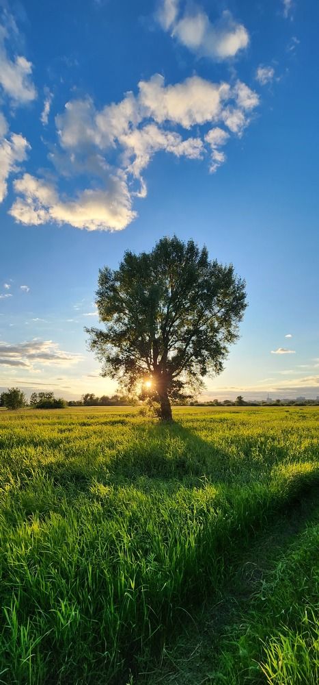 Photograph by Tatiana Denisova