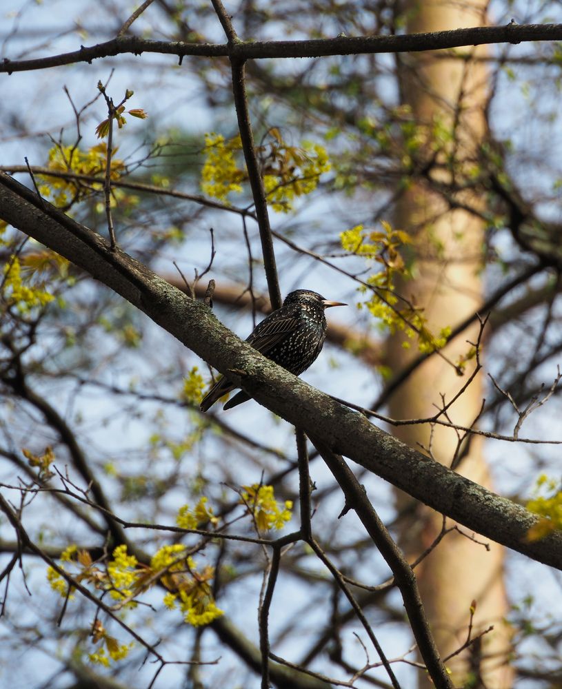 Photograph by Нина Кулинцева