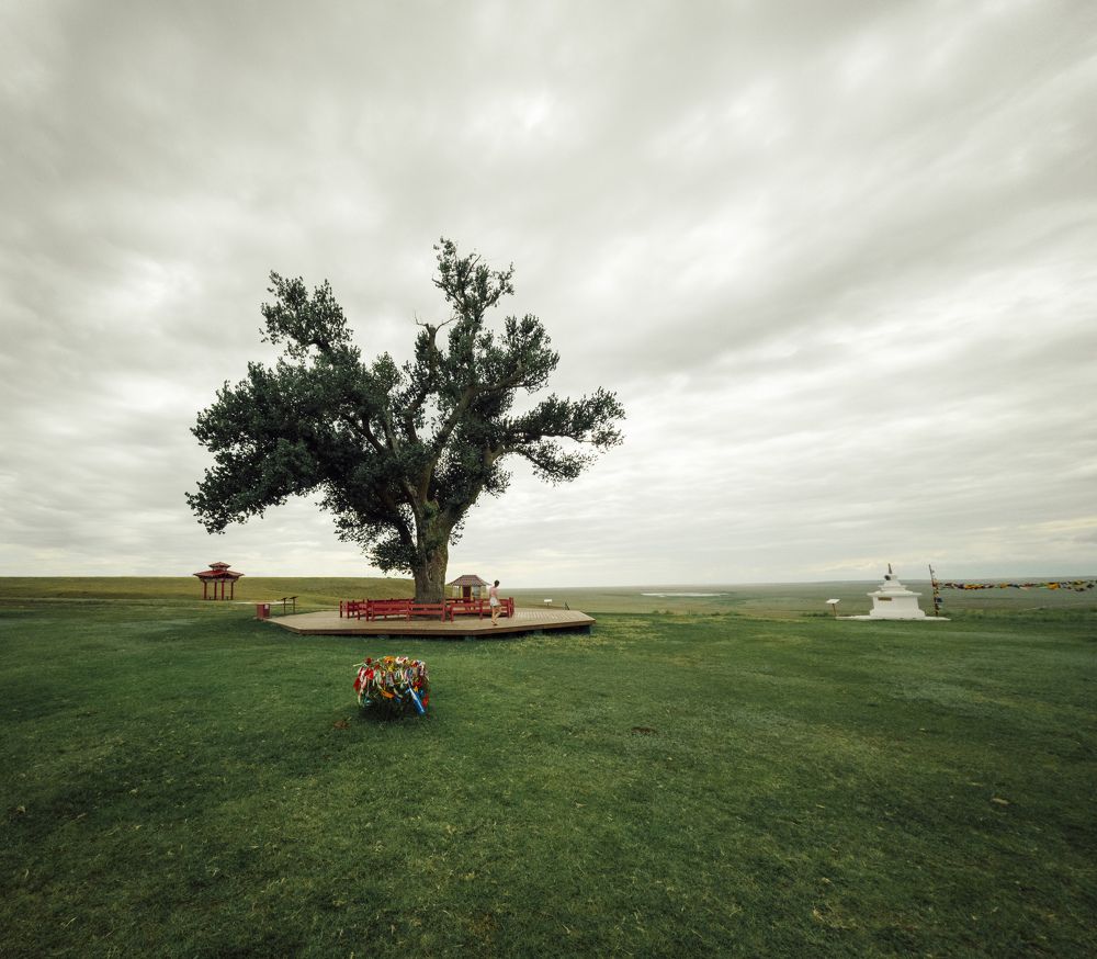 Photograph by Дмитрий Бебко