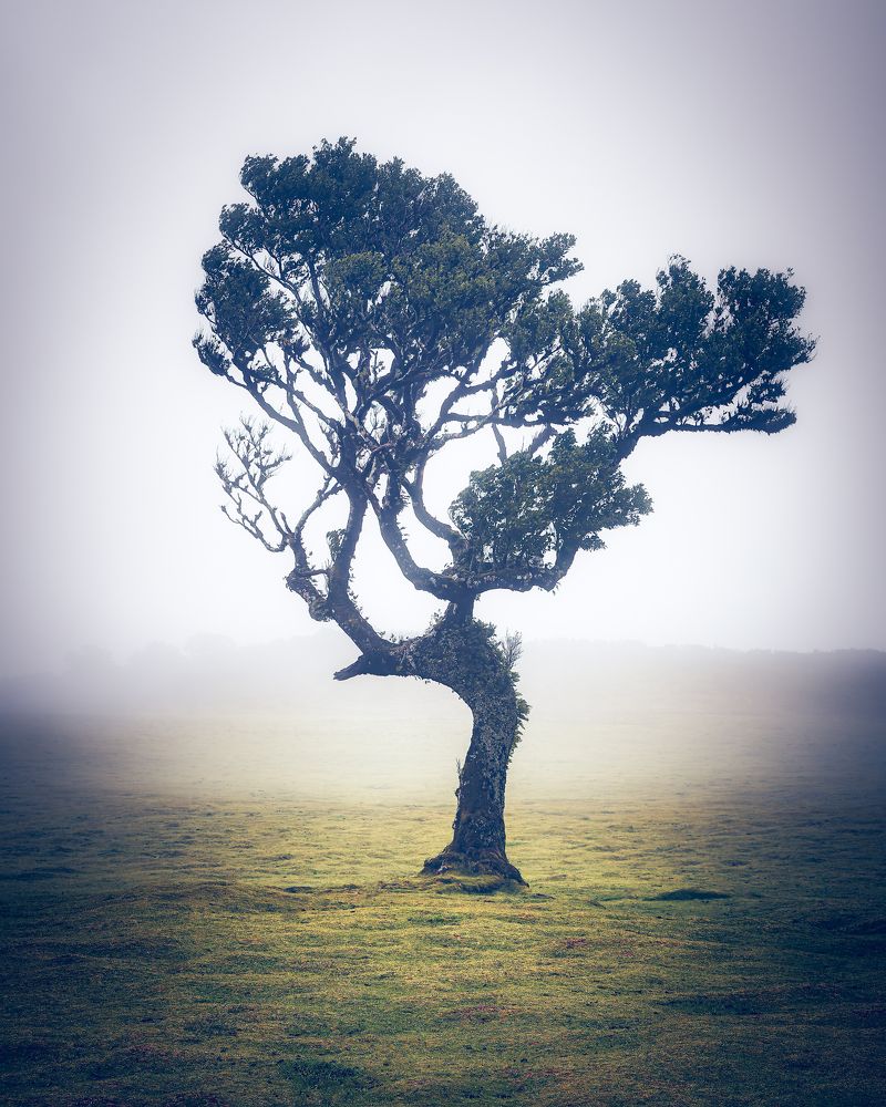 Photograph by Crusat Francisco