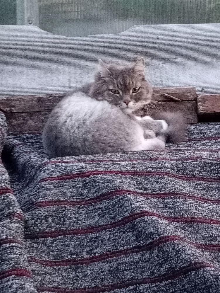 Photograph by Екатерина Филатова