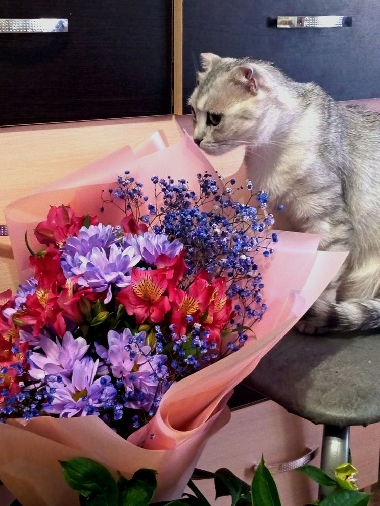 Photograph by Алена Власовец