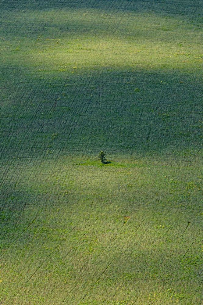 Photograph by Максим Кулешов