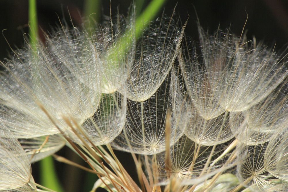 Photograph by Claudia Freitas