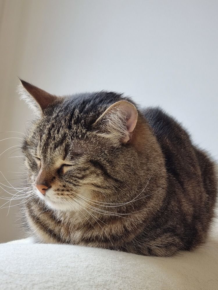 Photograph by Elena Tamošauskaite