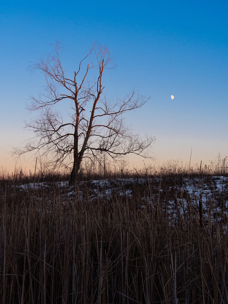 Photograph by Дмитрий Бебко