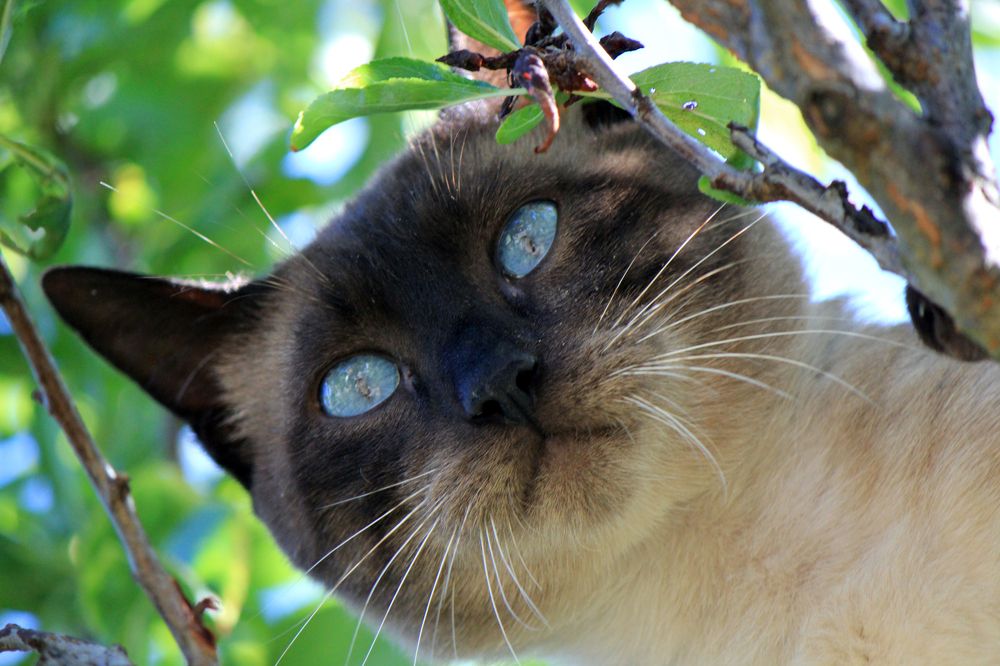 Photograph by Claudia Freitas