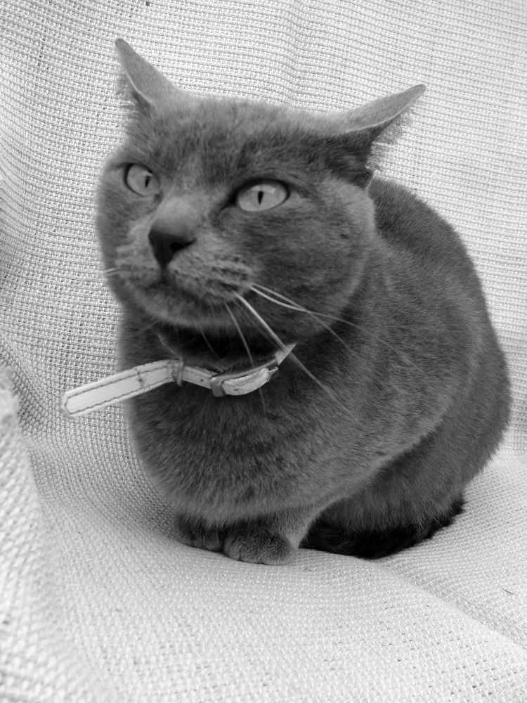 Photograph by Claudia Freitas