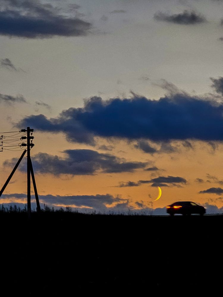 Photograph by Елена Сиушова