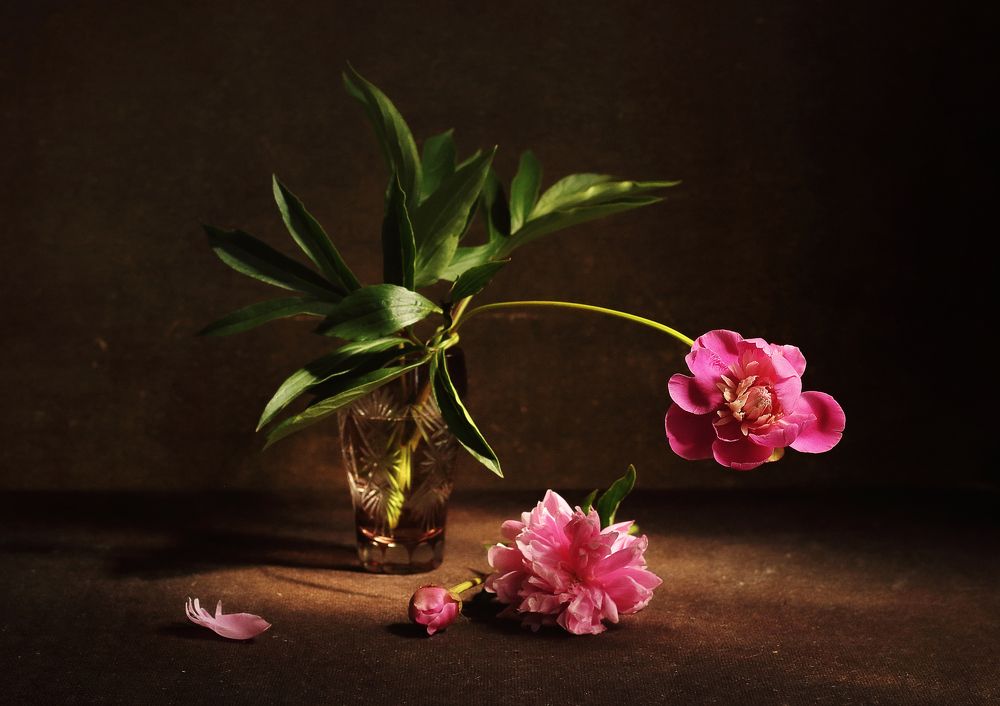 Фотография автора ТАТЬЯНА ЗАХАРОВА