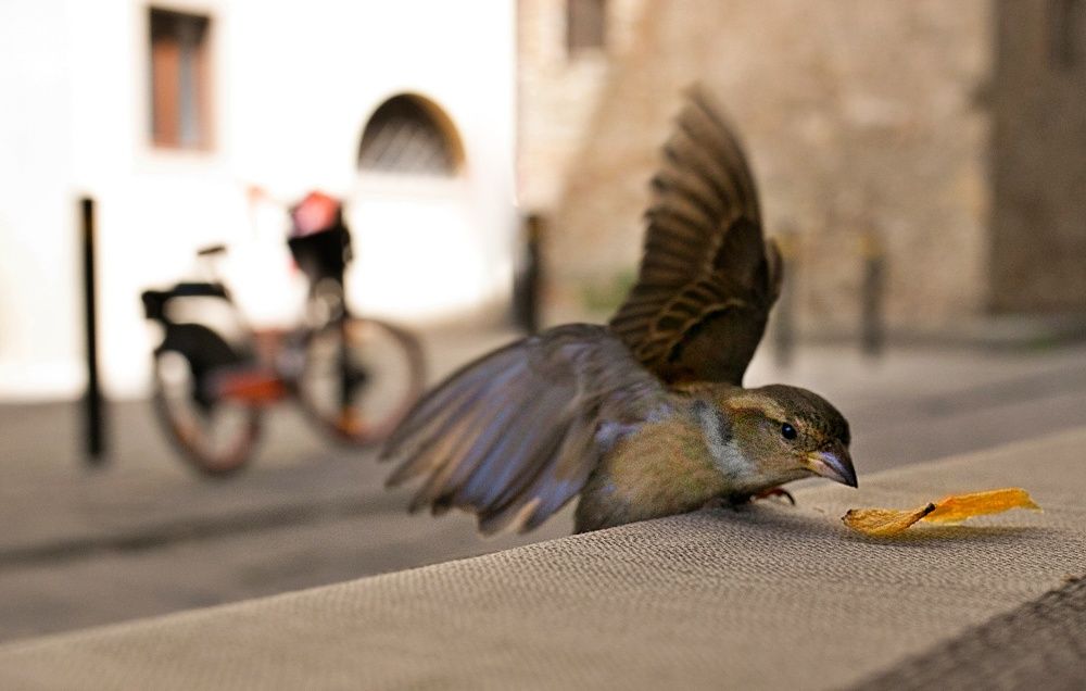 Photograph by Natalia Bondarenko