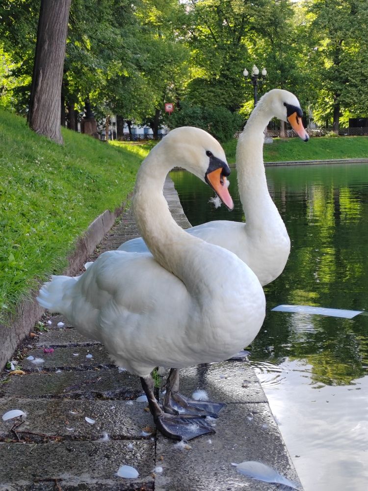 Фотография автора Татьяна Егорова