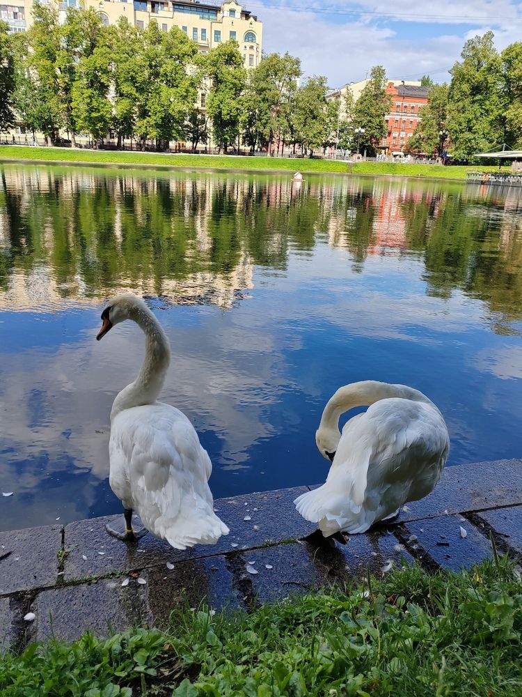 Фотография автора Татьяна Егорова