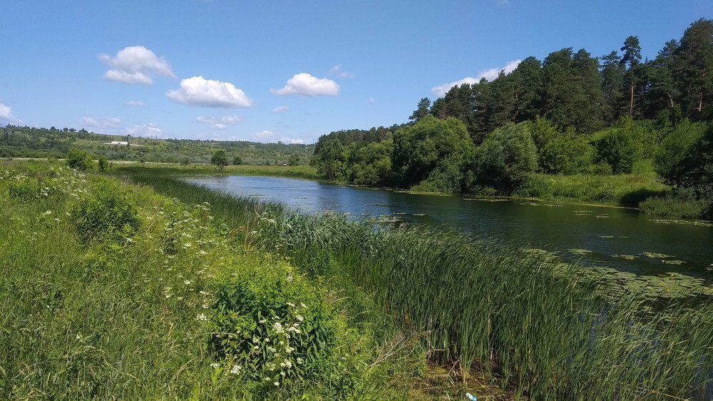 Photograph by Вячеслав Швецов