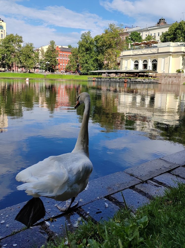 Фотография автора Татьяна Егорова