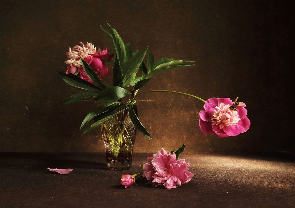 Фотография автора ТАТЬЯНА ЗАХАРОВА