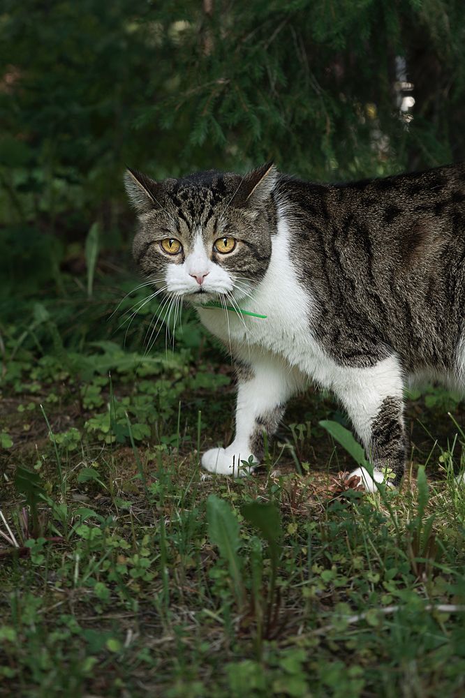 Photograph by Анна Марковская